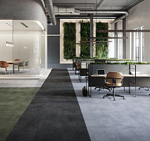 IVC Basalt  на акустической основе Echo Acoustic 989 фото 2 | FLOORDEALER